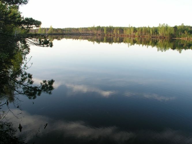 Maakond: Ida-Virumaa Veekogu nimi: Kurtna Mustjärv Pildistamise aeg: 22. mai 2006 Pildistaja: H. Timm Pildistamise koht: teadmata Asimuut: