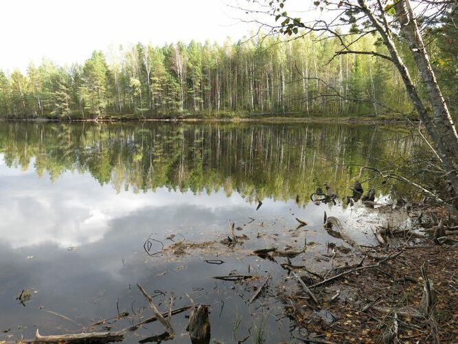 Maakond: Ida-Virumaa Veekogu nimi: Kurtna Mustjärv Pildistamise aeg: 24. september 2014 Pildistaja: H. Timm Pildistamise koht: teadmata Asimuut: