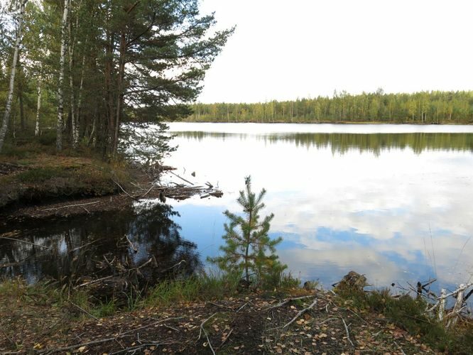 Maakond: Ida-Virumaa Veekogu nimi: Kurtna Mustjärv Pildistamise aeg: 24. september 2014 Pildistaja: H. Timm Pildistamise koht: teadmata Asimuut: