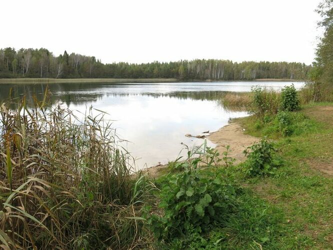 Maakond: Ida-Virumaa Veekogu nimi: Kurtna Nõmme järv Pildistamise aeg: 24. september 2014 Pildistaja: H. Timm Pildistamise koht: teadmata Asimuut: