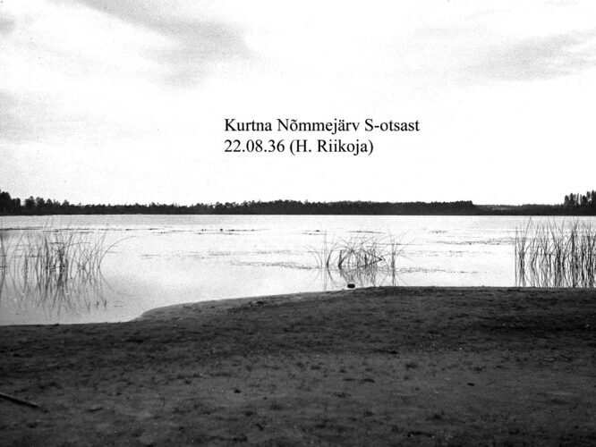 Maakond: Ida-Virumaa Veekogu nimi: Kurtna Nõmmejärv Pildistamise aeg: 22. juuni 1936 Pildistaja: H. Riikoja Pildistamise koht: S-otsast Asimuut: NNE