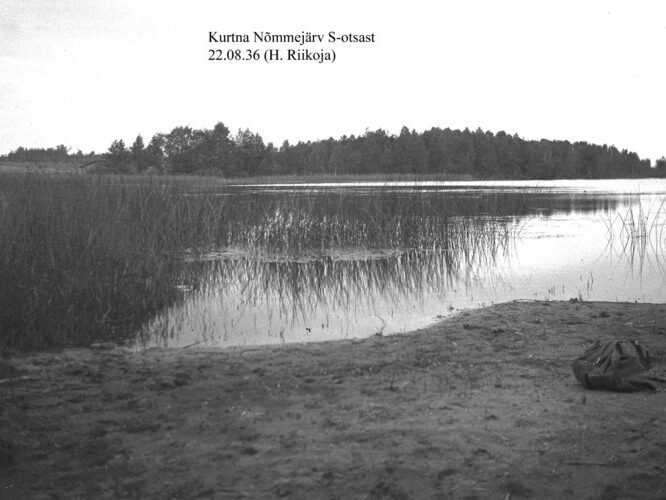 Maakond: Ida-Virumaa Veekogu nimi: Kurtna Nõmmejärv Pildistamise aeg: 22. juuni 1936 Pildistaja: H. Riikoja Pildistamise koht: S-otsast Asimuut: N