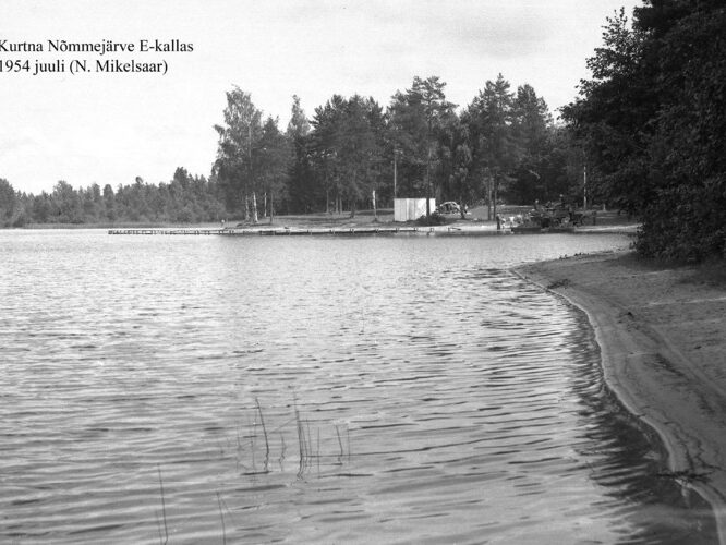 Maakond: Ida-Virumaa Veekogu nimi: Kurtna Nõmmejärv Pildistamise aeg: juuli 1954 Pildistaja: N. Mikelsaar Pildistamise koht: piki E-kallast Asimuut: NE