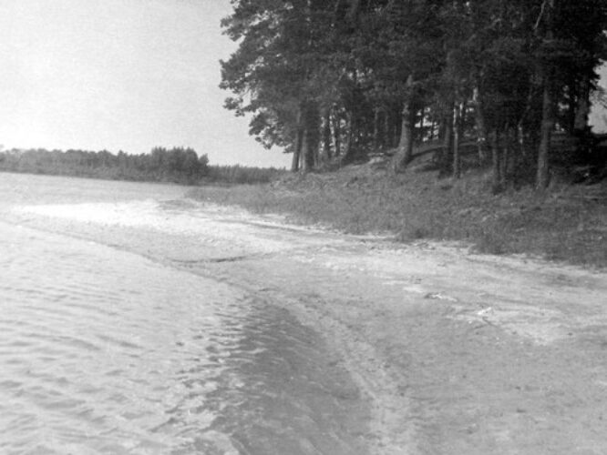 Maakond: Ida-Virumaa Veekogu nimi: Kurtna Nõmmejärv Pildistamise aeg: teadmata Pildistaja: A. Maspuran Pildistamise koht: piki E-kallast Asimuut: NE