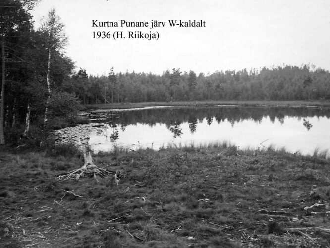 Maakond: Ida-Virumaa Veekogu nimi: Kurtna Punane järv Pildistamise aeg: 1936 Pildistaja: H. Riikoja Pildistamise koht: W-kaldalt Asimuut: