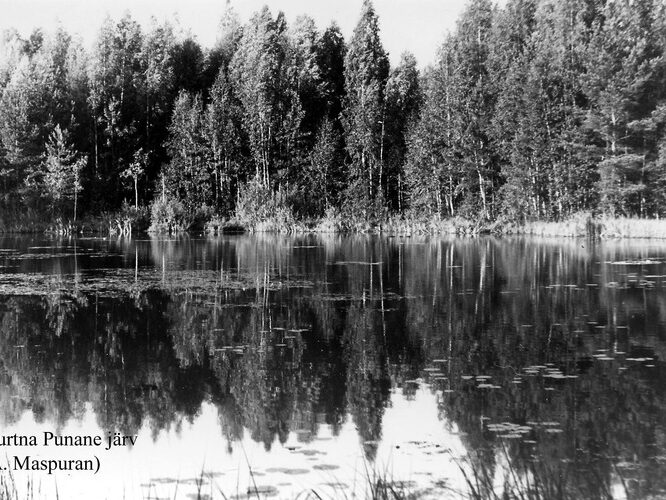 Maakond: Ida-Virumaa Veekogu nimi: Kurtna Punane järv Pildistamise aeg: teadmata Pildistaja: A. Maspuran Pildistamise koht: teadmata Asimuut: