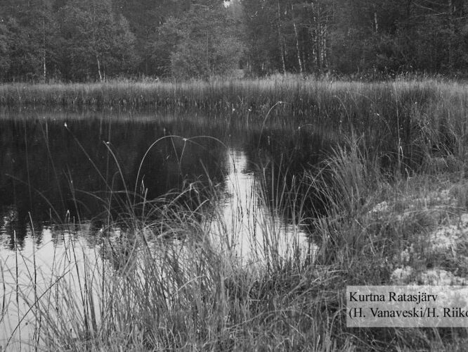 Maakond: Ida-Virumaa Veekogu nimi: Kurtna Ratasjärv Pildistamise aeg: teadmata Pildistaja: H. Vanaveski/H. Riikoja Pildistamise koht: teadmata Asimuut: