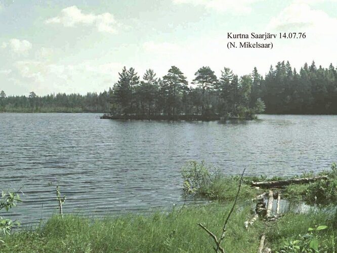 Maakond: Ida-Virumaa Veekogu nimi: Kurtna Saarjärv Pildistamise aeg: 14. juuli 1976 Pildistaja: N. Mikelsaar Pildistamise koht: teadmata Asimuut: