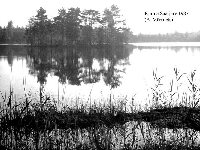 Maakond: Ida-Virumaa Veekogu nimi: Kurtna Saarjärv Pildistamise aeg: 1987 Pildistaja: A. Mäemets Pildistamise koht: teadmata Asimuut: