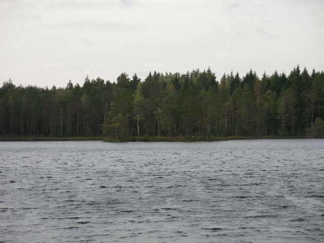 Maakond: Ida-Virumaa Veekogu nimi: Kurtna Saarejärv Pildistamise aeg: 25. september 2014 Pildistaja: H. Timm Pildistamise koht: teadmata Asimuut: