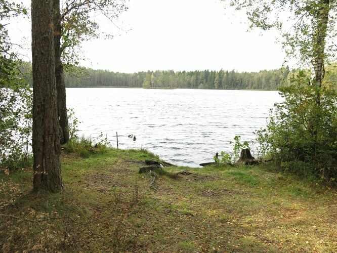 Maakond: Ida-Virumaa Veekogu nimi: Kurtna Saarejärv Pildistamise aeg: 25. september 2014 Pildistaja: H. Timm Pildistamise koht: teadmata Asimuut: