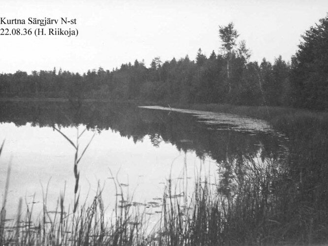 Maakond: Ida-Virumaa Veekogu nimi: Kurtna Särgjärv Pildistamise aeg: 22. august 1936 Pildistaja: H. Riikoja Pildistamise koht: teadmata Asimuut: