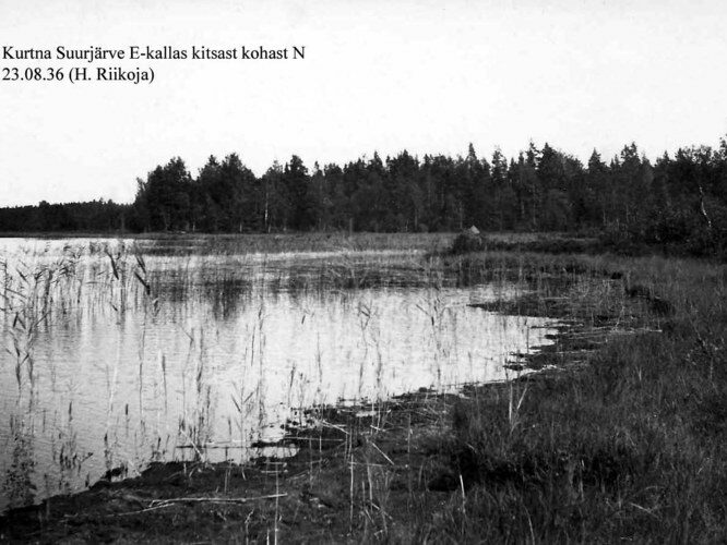 Maakond: Ida-Virumaa Veekogu nimi: Kurtna Suurjärv Pildistamise aeg: 23. august 1936 Pildistaja: H. Riikoja Pildistamise koht: E-kallas kitsast kohast N Asimuut: