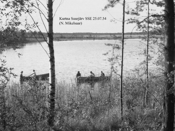 Maakond: Ida-Virumaa Veekogu nimi: Kurtna Suurjärv Pildistamise aeg: 25. juuli 1954 Pildistaja: N. Mikelsaar Pildistamise koht: SSE kaldalt Asimuut: NW