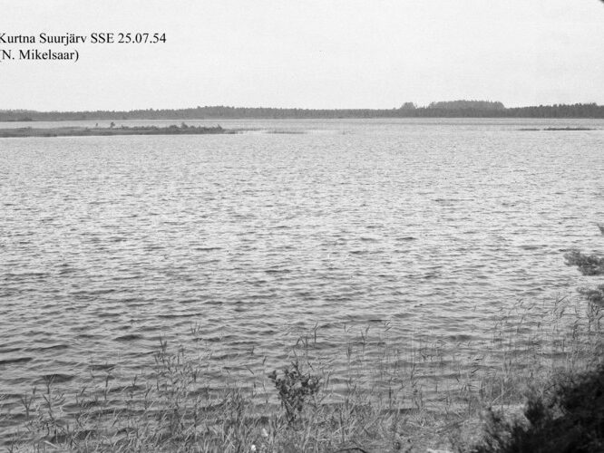 Maakond: Ida-Virumaa Veekogu nimi: Kurtna Suurjärv Pildistamise aeg: 25. juuli 1954 Pildistaja: N. Mikelsaar Pildistamise koht: SSE kaldalt Asimuut: N