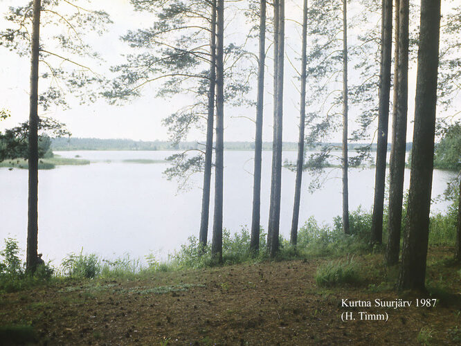 Maakond: Ida-Virumaa Veekogu nimi: Kurtna Suurjärv Pildistamise aeg: 1987 Pildistaja: H. Timm Pildistamise koht: teadmata Asimuut:Maakond: Ida-Virumaa Veekogu nimi: Kurtna Suurjärv Pildistamise aeg: 1987 Pildistaja: H. Timm Pildistamise koht: teadmata Asimuut: