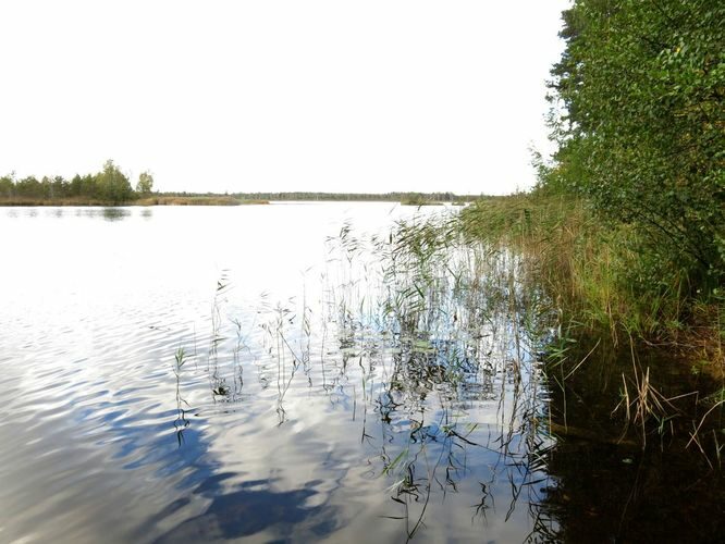 Maakond: Ida-Virumaa Veekogu nimi: Kurtna Suurjärv Pildistamise aeg: 24. september 2014 Pildistaja: H. Timm Pildistamise koht: teadmata Asimuut: