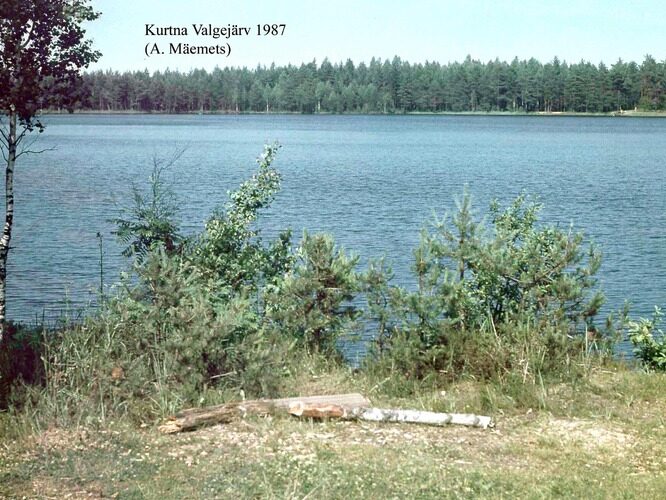 Maakond: Ida-Virumaa Veekogu nimi: Kurtna Valgejärv Pildistamise aeg: 1987 Pildistaja: A. Mäemets Pildistamise koht: teadmata Asimuut: