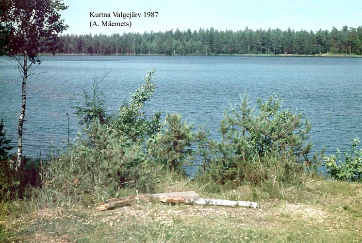 Maakond: Ida-Virumaa Veekogu nimi: Kurtna Valgejärv Pildistamise aeg: 1987 Pildistaja: A. Mäemets Pildistamise koht: teadmata Asimuut: