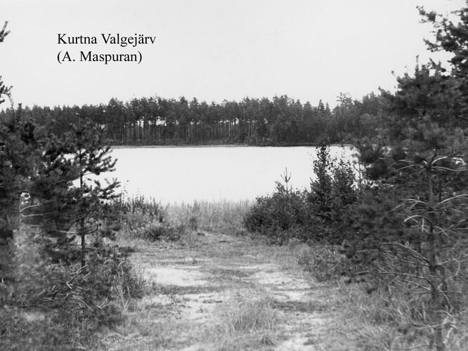 Maakond: Ida-Virumaa Veekogu nimi: Kurtna Valgejärv Pildistamise aeg: teadmata Pildistaja: A. Maspuran Pildistamise koht: teadmata Asimuut: