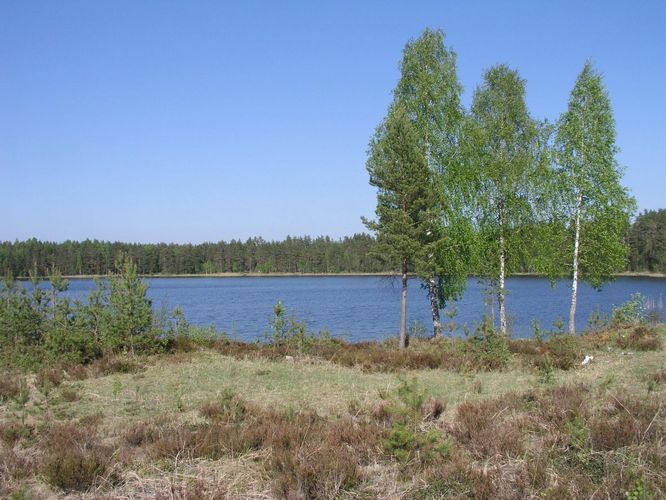 Maakond: Ida-Virumaa Veekogu nimi: Kurtna Valgejärv Pildistamise aeg: 23. mai 2006 Pildistaja: H. Timm Pildistamise koht: teadmata Asimuut: