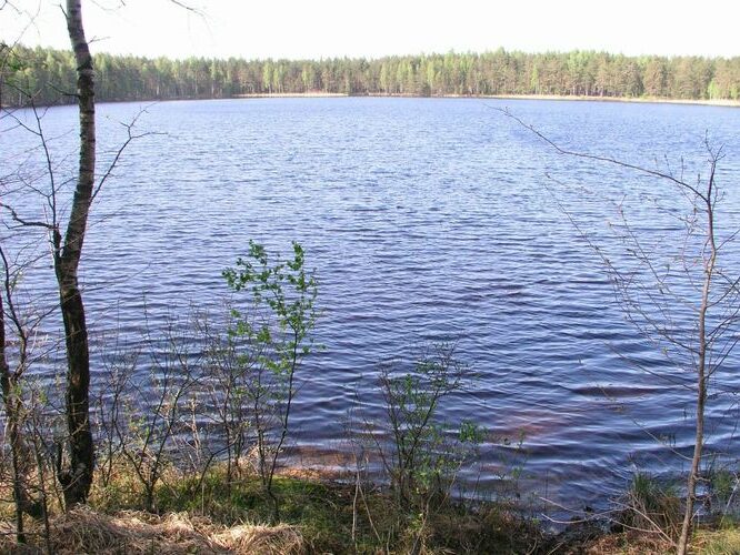 Maakond: Ida-Virumaa Veekogu nimi: Kurtna Valgejärv Pildistamise aeg: 23. mai 2006 Pildistaja: H. Timm Pildistamise koht: teadmata Asimuut: