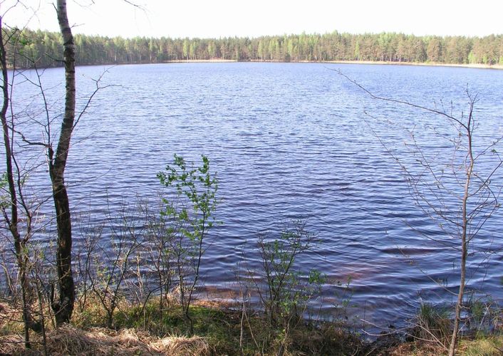 Maakond: Ida-Virumaa Veekogu nimi: Kurtna Valgejärv Pildistamise aeg: 23. mai 2006 Pildistaja: H. Timm Pildistamise koht: teadmata Asimuut: