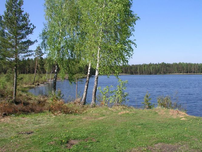 Maakond: Ida-Virumaa Veekogu nimi: Kurtna Valgejärv Pildistamise aeg: 23. mai 2006 Pildistaja: H. Timm Pildistamise koht: teadmata Asimuut: