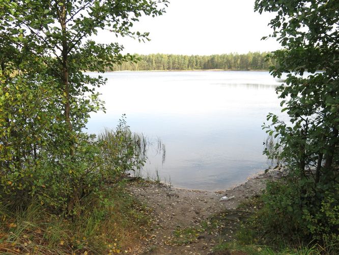 Maakond: Ida-Virumaa Veekogu nimi: Kurtna Valgejärv Pildistamise aeg: 25. september 2014 Pildistaja: H. Timm Pildistamise koht: teadmata Asimuut: