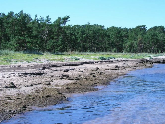 Maakond: Hiiumaa Veekogu nimi: Läänemeri Pildistamise aeg: august 2005 Pildistaja: H. Timm Pildistamise koht: Ristna Asimuut: