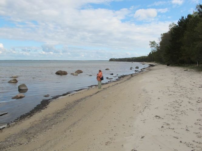 Maakond: Hiiumaa Veekogu nimi: Läänemeri Pildistamise aeg: 16. mai 2011 Pildistaja: H. Timm Pildistamise koht: Lehtma rand Asimuut: