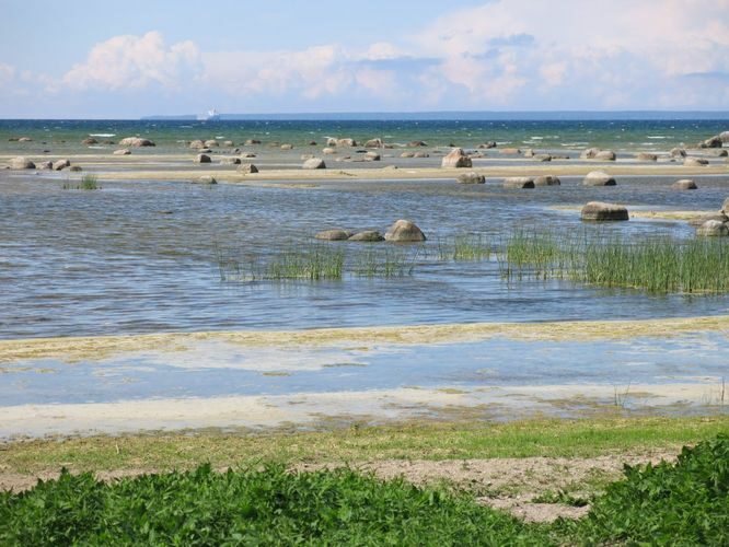 Maakond: Harjumaa Veekogu nimi: Läänemeri Pildistamise aeg: 10. juuni 2013 Pildistaja: H. Timm Pildistamise koht: Tabasalu rand Asimuut: