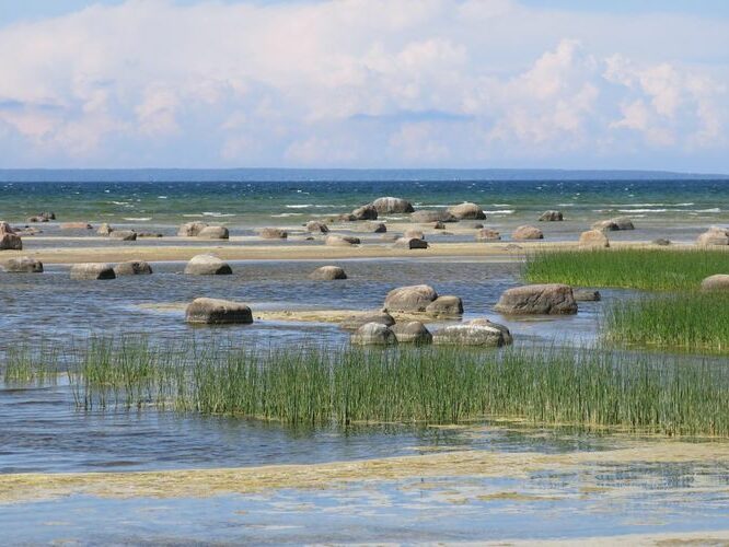 Maakond: Harjumaa Veekogu nimi: Läänemeri Pildistamise aeg: 10. juuni 2013 Pildistaja: H. Timm Pildistamise koht: Tabasalu rand Asimuut: