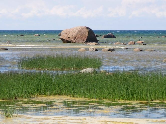 Maakond: Harjumaa Veekogu nimi: Läänemeri Pildistamise aeg: 10. juuni 2013 Pildistaja: H. Timm Pildistamise koht: Tabasalu rand Asimuut: