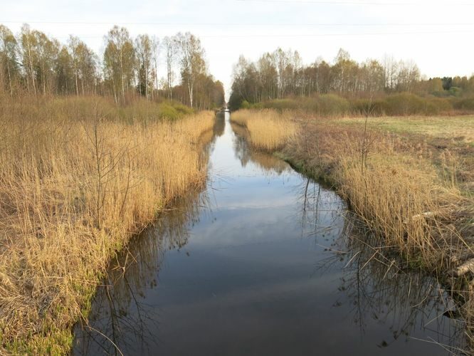 Maakond: Harjumaa Veekogu nimi: Leivajõgi Pildistamise aeg: 28. aprill 2014 Pildistaja: H. Timm Pildistamise koht: alamjooks Asimuut: