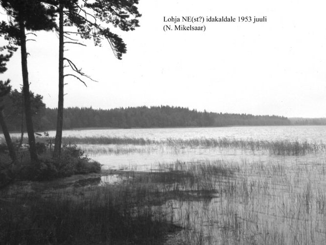 Maakond: Harjumaa Veekogu nimi: Lohja järv Pildistamise aeg: juuli 1953 Pildistaja: N. Mikelsaar Pildistamise koht: NE idakaldale Asimuut: