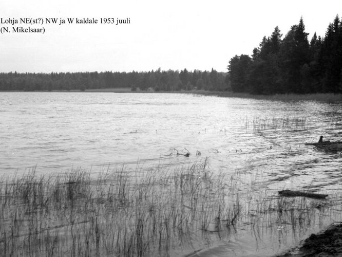 Maakond: Harjumaa Veekogu nimi: Lohja järv Pildistamise aeg: juuli 1953 Pildistaja: N. Mikelsaar Pildistamise koht: NW ja W kaldale Asimuut: