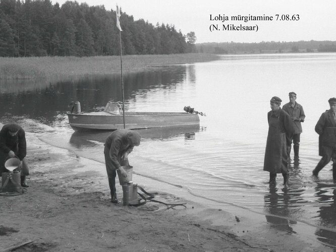 Maakond: Harjumaa Veekogu nimi: Lohja järv Pildistamise aeg: 7. august 1963 Pildistaja: N. Mikelsaar Pildistamise koht: Lohja m Asimuut: