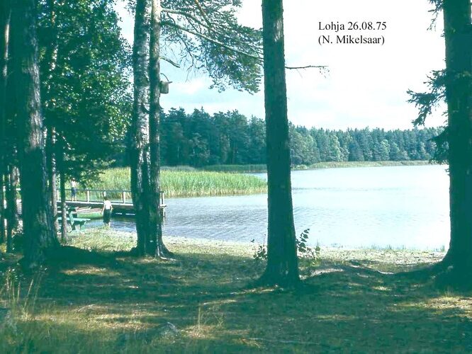 Maakond: Harjumaa Veekogu nimi: Lohja järv Pildistamise aeg: 26. august 1975 Pildistaja: N. Mikelsaar Pildistamise koht: teadmata Asimuut: