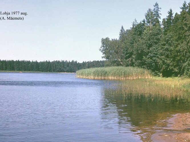 Maakond: Harjumaa Veekogu nimi: Lohja järv Pildistamise aeg: august 1977 Pildistaja: A. Mäemets Pildistamise koht: teadmata Asimuut: