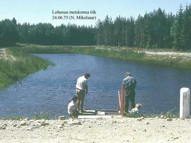 Maakond: Ida-Virumaa Veekogu nimi: Lohusuu metskonna paistiik Pildistamise aeg: 24. juuni 1975 Pildistaja: N. Mikelsaar Pildistamise koht: teadmata Asimuut: