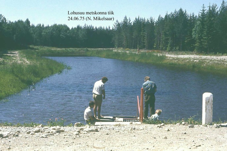 Maakond: Ida-Virumaa Veekogu nimi: Lohusuu metskonna paistiik Pildistamise aeg: 24. juuni 1975 Pildistaja: N. Mikelsaar Pildistamise koht: teadmata Asimuut: