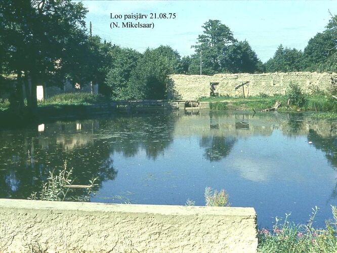 Maakond: Harjumaa Veekogu nimi: Loo paisjärv Pildistamise aeg: 21. august 1975 Pildistaja: N. Mikelsaar Pildistamise koht: teadmata Asimuut: