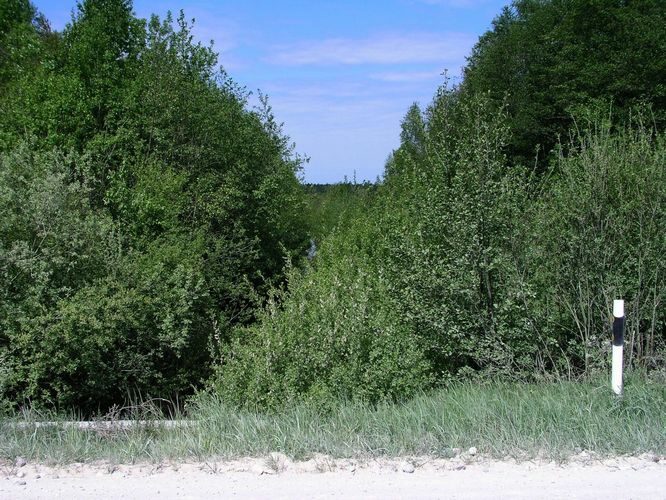 Maakond: Hiiumaa Veekogu nimi: Luguse jõgi Pildistamise aeg: 23. mai 2008 Pildistaja: H. Timm Pildistamise koht: Ühtri Asimuut: