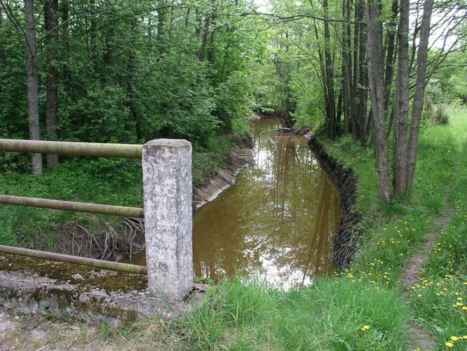 Maakond: Hiiumaa Veekogu nimi: Luguse jõgi Pildistamise aeg: 23. mai 2008 Pildistaja: H. Timm Pildistamise koht: alamjooks Asimuut: