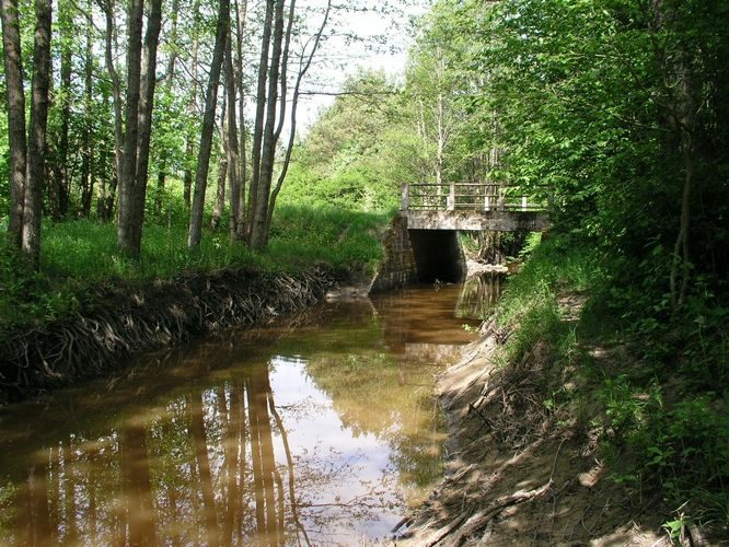 Maakond: Hiiumaa Veekogu nimi: Luguse jõgi Pildistamise aeg: 23. mai 2008 Pildistaja: H. Timm Pildistamise koht: alamjooks Asimuut: