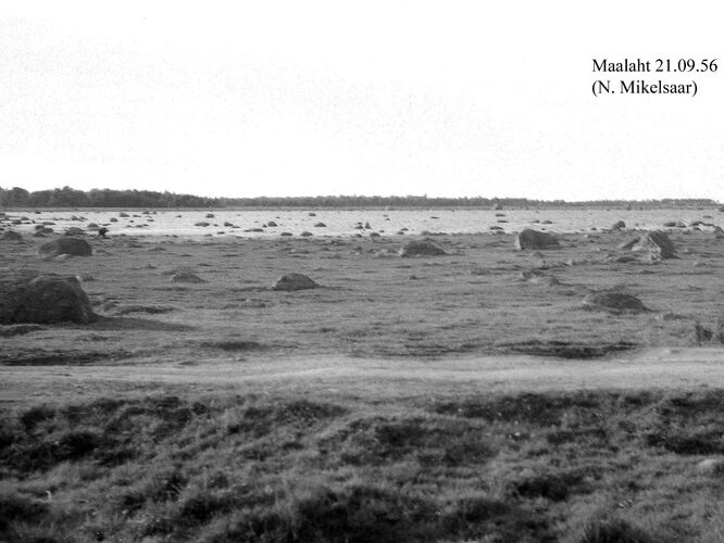 Maakond: Harjumaa Veekogu nimi: Maalaht Pildistamise aeg: 21. september 1956 Pildistaja: N. Mikelsaar Pildistamise koht: teadmata Asimuut: