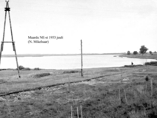 Maakond: Harjumaa Veekogu nimi: Maardu järv Pildistamise aeg: juuli 1953 Pildistaja: N. Mikelsaar Pildistamise koht: N kaldalt Asimuut: SSW