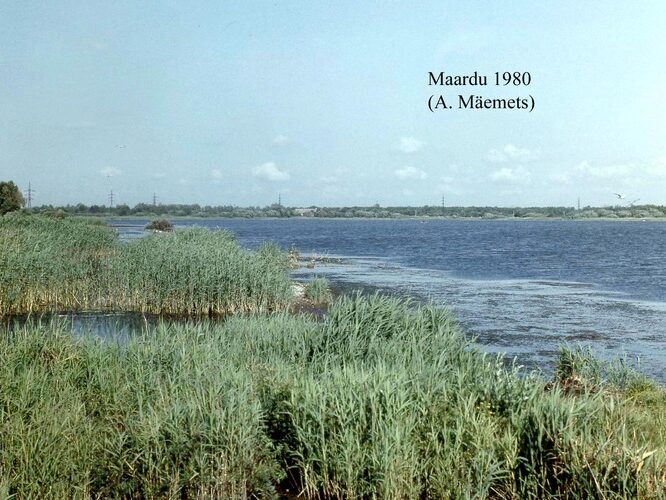 Maakond: Harjumaa Veekogu nimi: Maardu järv Pildistamise aeg: 1980 Pildistaja: A. Mäemets Pildistamise koht: teadmata Asimuut: