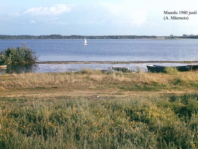 Maakond: Harjumaa Veekogu nimi: Maardu järv Pildistamise aeg: juuli 1980 Pildistaja: A. Mäemets Pildistamise koht: teadmata Asimuut: